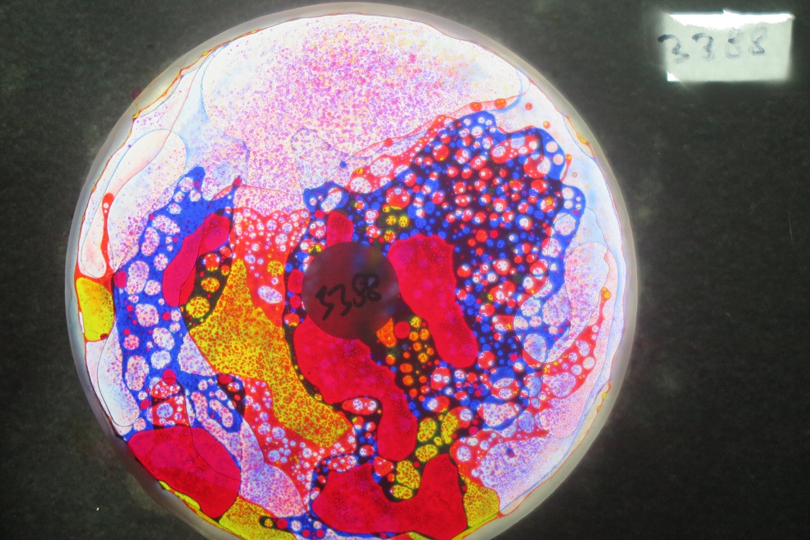 BV3388 bubble vision oil wheel